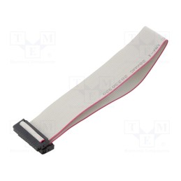 10 pcs : DS1052-01-262B2MA203001 - Ribbon cable with IDC connectors, Cable ph: 1mm, 0.3m, 26x28AWG