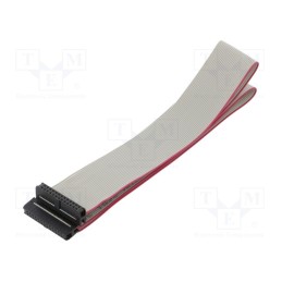 10 pcs : DS1052-01-262B2NA206001 - Ribbon cable with IDC connectors, Cable ph: 1mm, 0.6m, 26x28AWG