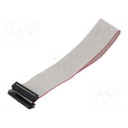 10 pcs : DS1052-01-302B2NA203001 - Ribbon cable with IDC connectors, Cable ph: 1mm, 0.3m, 30x28AWG
