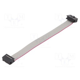 10 pcs : DS1052-102B2NA201501 - Ribbon cable with IDC connectors, Cable ph: 1.27mm, 0.15m