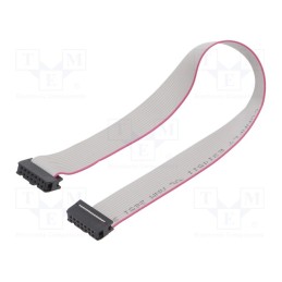 10 pcs : DS1052-142B2NA203001 - Ribbon cable with IDC connectors, Cable ph: 1.27mm, 0.3m