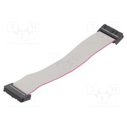 10 pcs : DS1052-202B2MA201501 - Ribbon cable with IDC connectors, Cable ph: 1.27mm, 0.15m