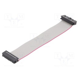 10 pcs : DS1052-202B2NA201501 - Ribbon cable with IDC connectors, Cable ph: 1.27mm, 0.15m