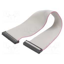 10 pcs : DS1052-402B2MA203001 - Ribbon cable with IDC connectors, Cable ph: 1.27mm, 0.3m
