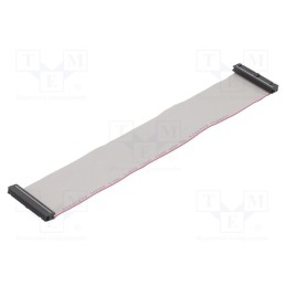10 pcs : DS1052-402B2NA203001 - Ribbon cable with IDC connectors, Cable ph: 1.27mm, 0.3m