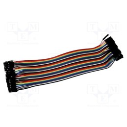 10 set : CAB F-F(40-17-RAINBOW) - Connection cable, female-female, mix colours, 40pcs, 170mm
