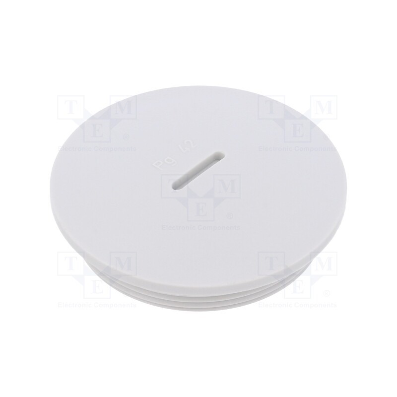 10 pcs : 1.251.4200.11 - Stopper, PG42, IP54, polyamide, grey, V-N-FS, Thread: PG, 10mm
