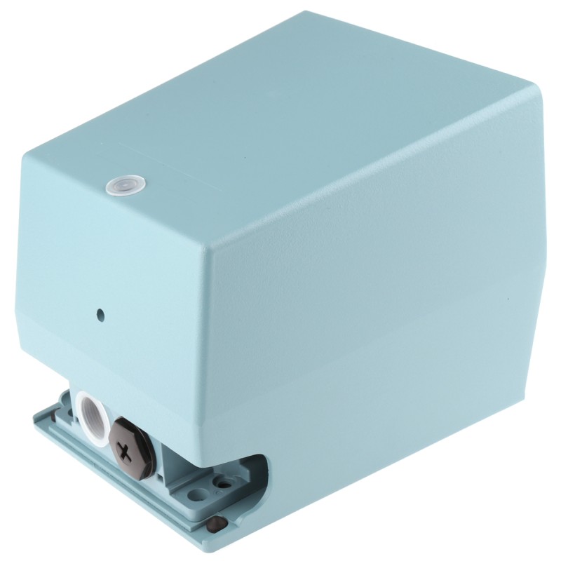 1 pcs - Schneider Electric Industrial Duty Momentary On-Off Foot Switch - Metal Case Material, 2NO/2NC, 270 mA @ 250 V dc, 3 A