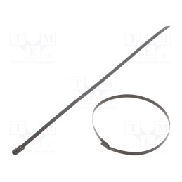 50 pcs : BC44-260 - Cable tie, L: 260mm, W: 4.6mm, stainless steel AISI 304, 445N
