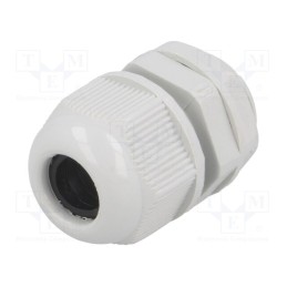 20 pcs : RNPG-11 - Cable gland, PG11, IP65, polyamide, grey