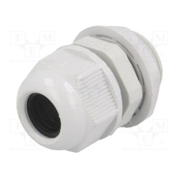 20 pcs : RNPG-13.5 - Cable gland, PG13,5, IP65, polyamide, grey