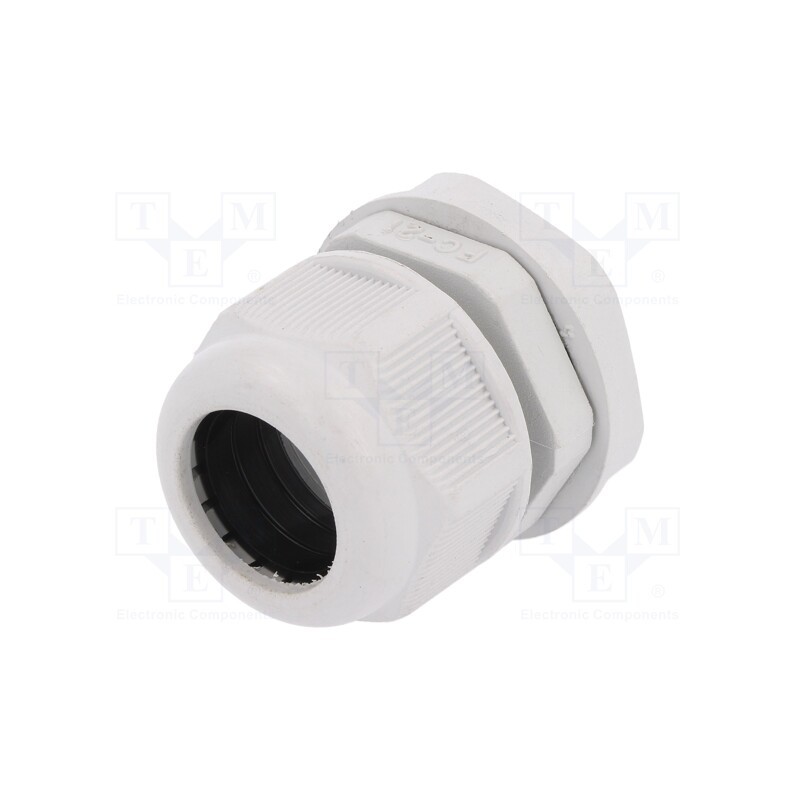 10 pcs : RNPG-21 - Cable gland, PG21, IP65, polyamide, grey