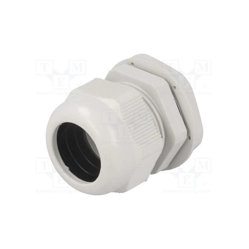 10 pcs : RNPG-29 - Cable gland, PG29, IP65, polyamide, grey