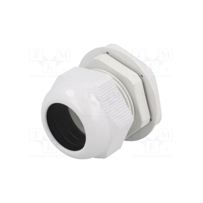 10 pcs : RNPG-36 - Cable gland, PG36, IP65, polyamide, grey