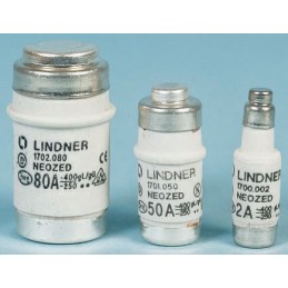 50 pcs - T214676 Mersen 2A D01 Neozed Fuse, gG, 400V ac