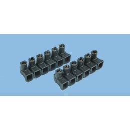 1 pcs - Legrand Non-Fused Terminal Block, 12-Way, 32A, 10 mm² Wire, Screw Down Termination