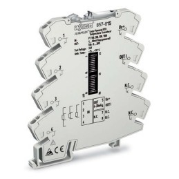 1 pcs - Wago Signal Conditioner, RTD Input, Current Output, 30V Supply