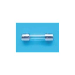 10 pcs : 5MF 2.5-R - Cartridge Fuses