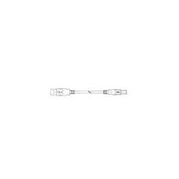 10 pcs : SC-2ABE006F - USB Cables / IEEE 1394 Cables USB 2.0 A Male / B Male