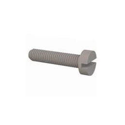 10 pcs : 50M030050D014 - Screws & Fasteners Cheese Slotted Screw, M3 X .5 Thread, 14mm Lg, Natural, Nylon