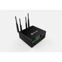 1 pcs - Robustel R1520-4L 2G, 3G, 4G, Ethernet, WiFi, 8 Ports