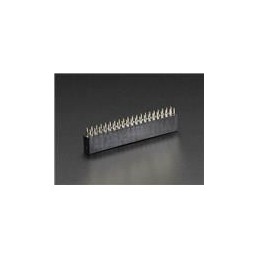 10 pcs : 2222 - Raspberry Pi Accessories GPIO Header for Raspberry Pi A+/B+/Pi 2/Pi 3/Pi 4/Zero - 2x20 Female Header