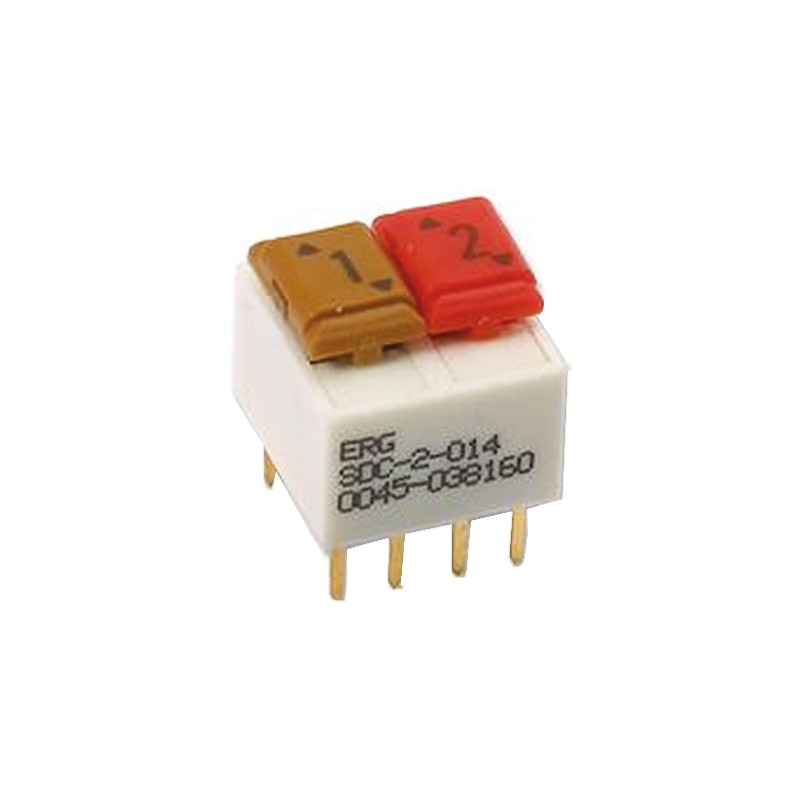 1 pcs - ERG 2 Way Through Hole DIP Switch SPST