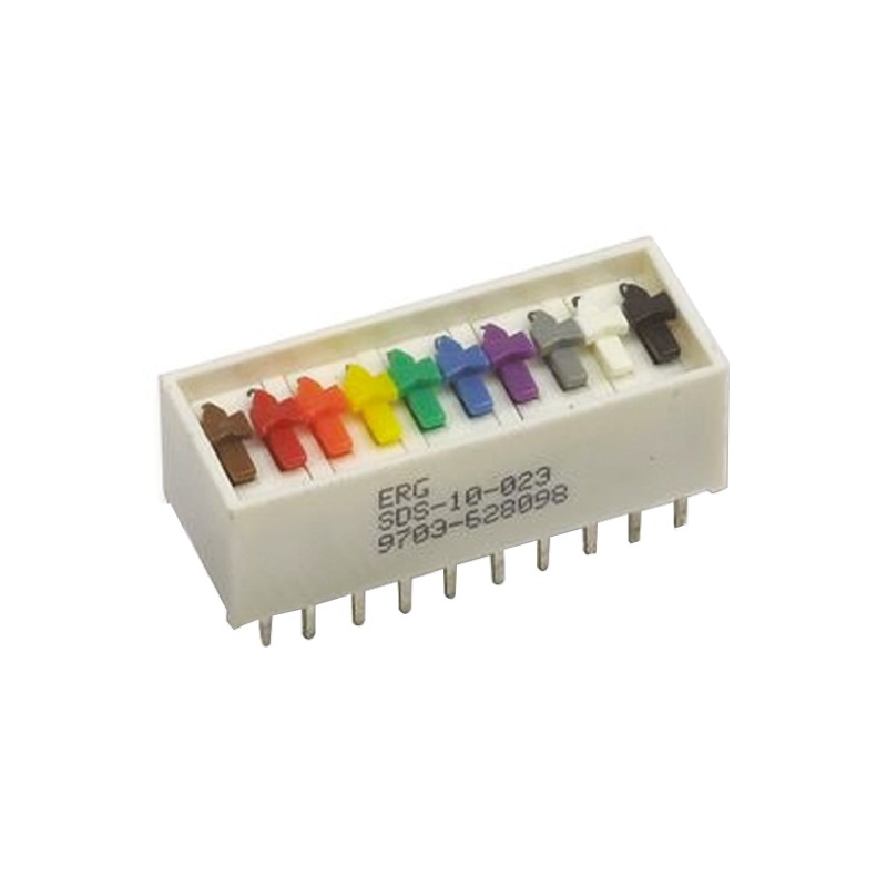 1 pcs - ERG 10 Way Through Hole DIP Switch SPST