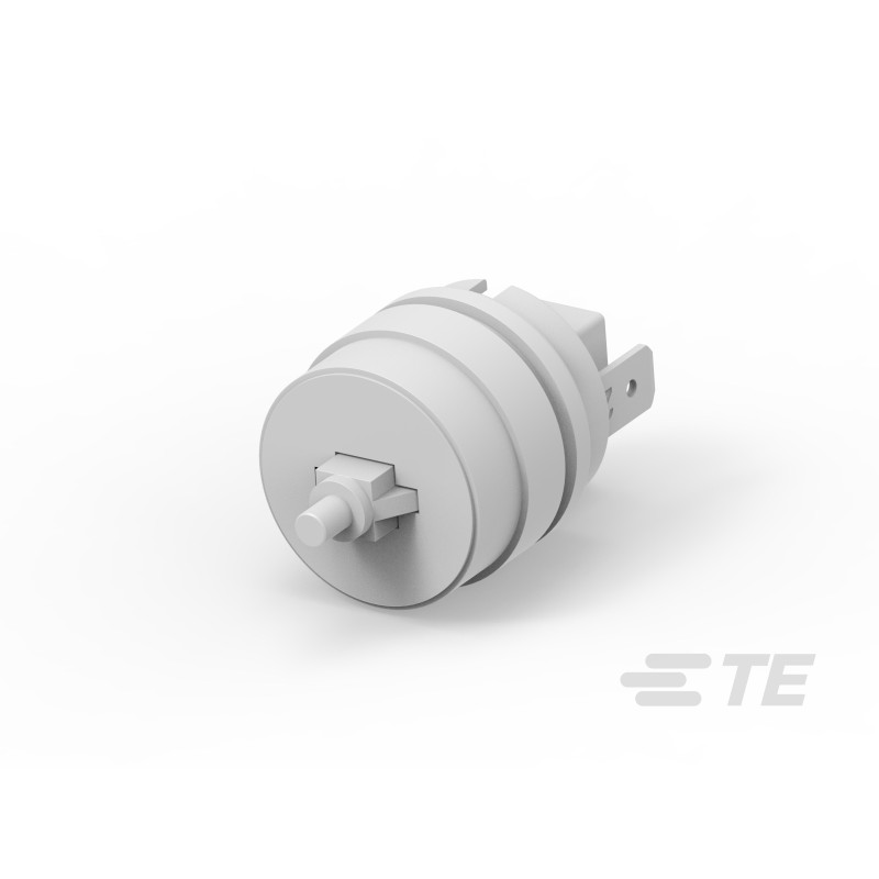 1 pcs - TE Connectivity Toggle Micro Switch