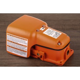 1 pcs - RS PRO Momentary Foot Switch - Cast Iron Case Material, SP-CO, 20 A @ 250 V ac Contact Current, 250V Contact Voltage