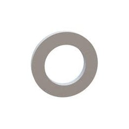 1 pcs : 17W02854 - Washers Flat Washer, .175 ID, .281 OD, .031 Thick, Natural, Nylon