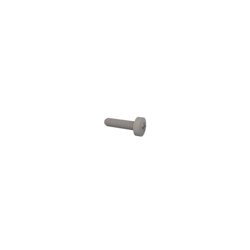 1 pcs : 50M020040G020 - Screws & Fasteners Fillister Phillips Screw, M2 X .4 Thread, 20mm Lg, Natural, Nylon