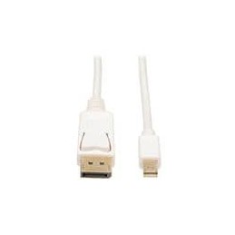 1 pcs : P583-006 - Audio Cables / Video Cables / RCA Cables 6FT MINI DP TO DP CBL
