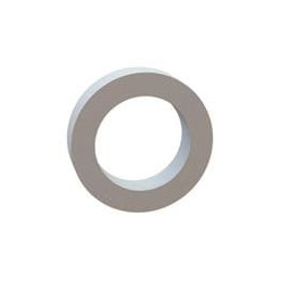 1 pcs : 17W02862 - Washers Flat Washer, .190 ID, .282 OD, .065 Thick, Natural, Nylon