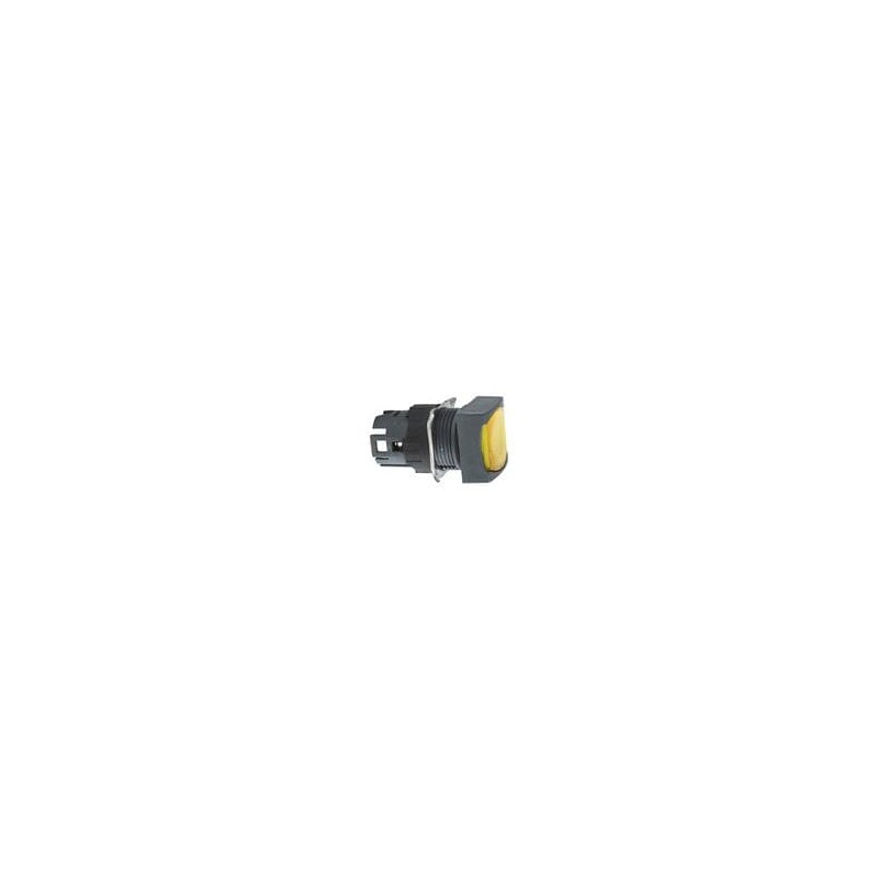 1 pcs : ZB6CW5 - Switch Actuators 16MM ILLUM PB 65168-013