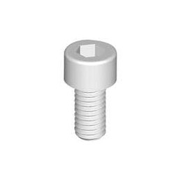 1 pcs : 3425200100 - Screws & Fasteners Hex Socket Cap Screw, 1/4-20 Thread, 1 Lg, Natural,Nylon