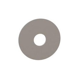 1 pcs : 17W08753 - Washers Flat Washer, .257 ID, .875 OD, .031 Thick, Natural, Nylon