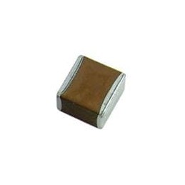 1 pcs : 3333N102K502NW - Multilayer Ceramic Capacitors MLCC - SMD/SMT 1nF 5000V 10% NPO