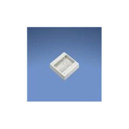 1 pcs : JBP2EI - Wire Ducting & Raceways DBLE GANG PWR RATED 2 PC OUTLET BOX