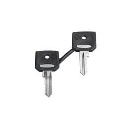 1 pcs : ZBD8D1 - Switch Actuators REPLACEMENT KEYS FOR 8D1 KEY SWITCH