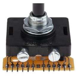 1 pcs - Lorlin, 2 Position Rotary Switch, 500 mA @ 250 V, Through Hole