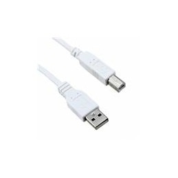 1 pcs : 3021063-10 - USB Cables / IEEE 1394 Cables USB 2.0 M TO M STRAT 10FT CORD WHITE