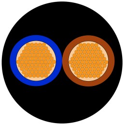 1 Reel of 50 M - RS PRO 2 Core Power Cable, 2.5 mm², 50m, Black CPE Sheath, 30 A, 450 V, 750 V