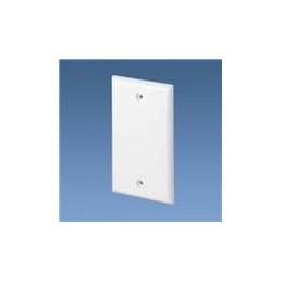 1 pcs : CPNIW - Wire Ducting & Raceways Sngl Gang Screw-on Blank Fplatee