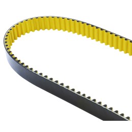 1 pcs - Contitech CTD 1120-8M-36 Timing Belt, 140 Teeth, 1120mm Length, 36mm Width