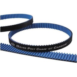 1 pcs - Gates PCV 8MGT 800 36 Timing Belt, 100 Teeth, 800mm Length, 36mm Width