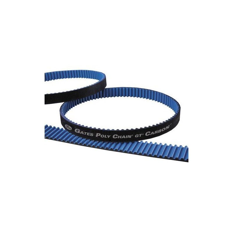 1 pcs - Gates PCV 8MGT 800 36 Timing Belt, 100 Teeth, 800mm Length, 36mm Width