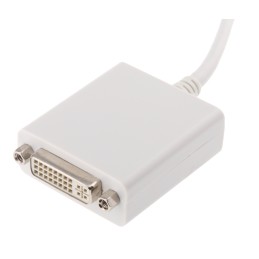 1 pcs - MINI DISPLAY PORT TO DVI