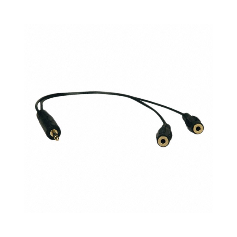 1 pcs : P313-001 - Cable Stereo (3 Conductor, TRS) Phone Jack, 3.5mm, 1/8' (2) To Phone Plug, 3.5mm (1/8') 1.0' (30.50cm)