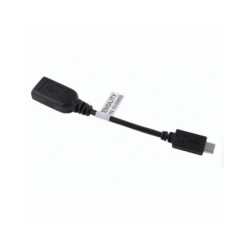 1 pcs : 10-00650 - CBL USB2.0 A RCP-MCR B PLG 0.33'